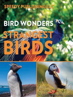 cover image of Bird Wonders